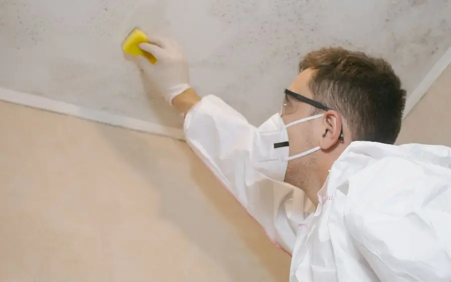 Bathroom Moisture Protection: 5 Powerful Barrier Solutions