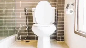 toilet