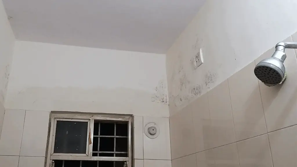 shower