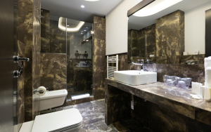 bathroom remodeling